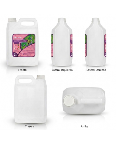 Desodorante Ambiental Free Spirit 5 Litros | Aroma Fresco y Energizante